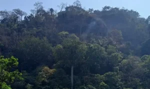 BREAKING NEWS: Petugas Berhasil Kendalikan Kebakaran Lahan Gunung Jayanti Sukabumi, Asap Putih Masih Terlihat Mengepul