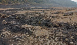 Sempat Terbakar, Alun-alun Suryakencana Berhasil Dipadamkan! Sempat Terbakar, Alun-alun Suryakencana Berhasil Dipadamkan!