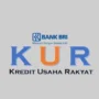 Pinjaman KUR BRI 2023 Rp20 juta bisa cair 3 hari dengan angsuran ringan