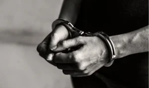 Seorang Youtuber Kena Bui Akibat Melanggar Hak Cipta Game dan Anime Youtuber asal jepang kena penjara karena langgar hak cipta game dan anime