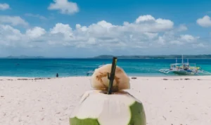 Ternyata Ini Dia Manfaat Air Kelapa yang Harus Kamu Tahu!