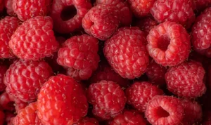 Kaya Akan kandungan Gizi, Ketahui Manfaat Konsumsi Buah Raspberry!