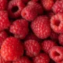 Kaya Akan kandungan Gizi, Ketahui Manfaat Konsumsi Buah Raspberry!