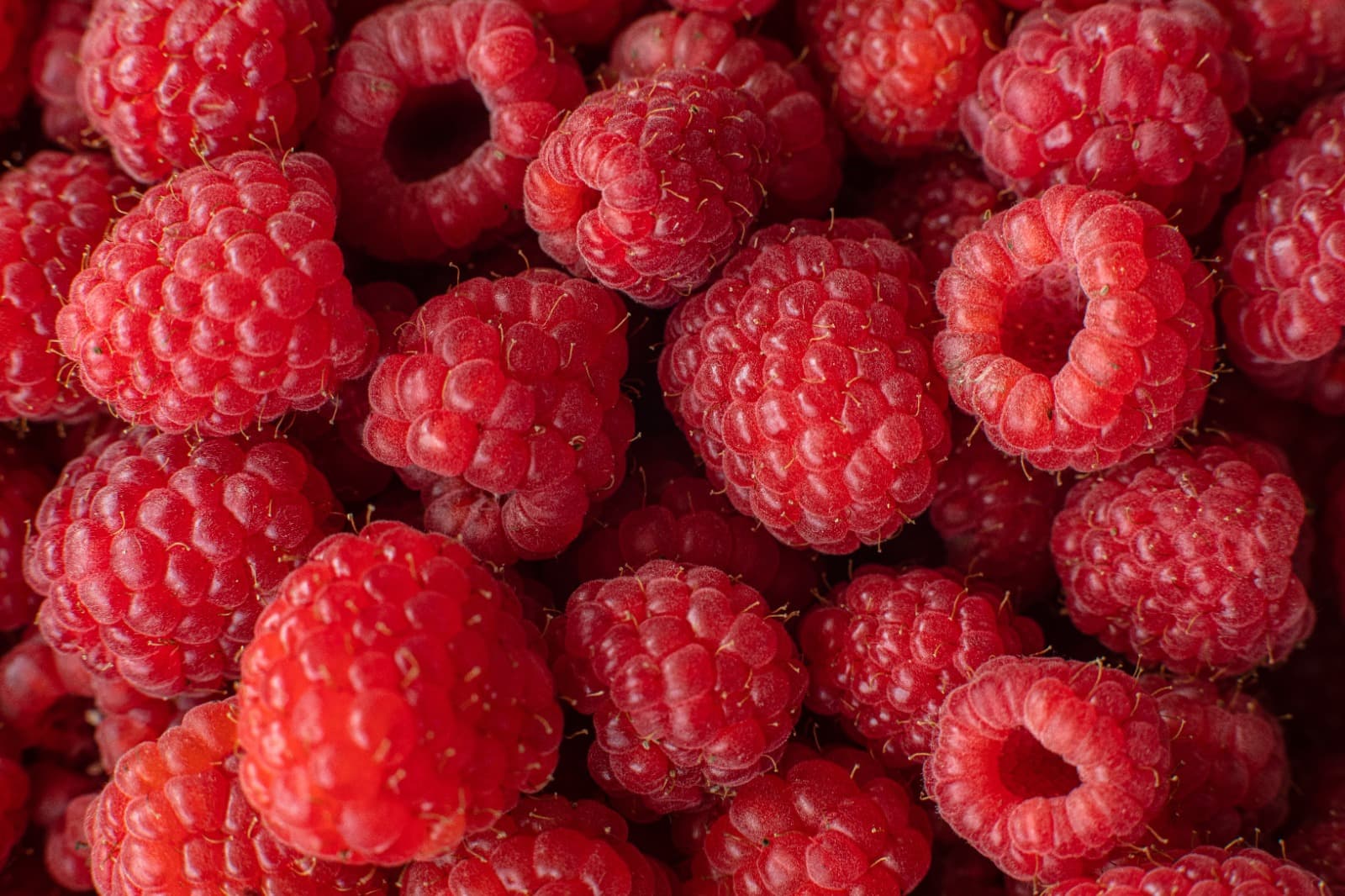 Kaya Akan kandungan Gizi, Ketahui Manfaat Konsumsi Buah Raspberry ...