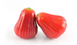 manfaat jambu air