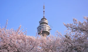 Uang Saku Rp10 Juta per Bulan! Beasiswa S1 ke Korea Selatan Tanpa TOEFL Uang Saku Rp10 Juta per Bulan! Beasiswa S1 ke Korea Selatan