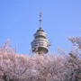 Uang Saku Rp10 Juta per Bulan! Beasiswa S1 ke Korea Selatan