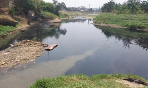 Soal Ajakan Susur Sungai Cileungsi, Bupati Bogor Klaim Sudah Turun ke Lapangan