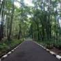 Menghirup Udara Segar Bandung, Ini 3 Rekomendasi Tempat Olahraga di Alam