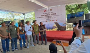 Enam Ekor Komodo Hasil Breeding Taman Safari Indonesia, PT Smelting dan KLHK RI Akhirnya Dilepasliarkan ke Cagar Alam Wae Wuul NTT