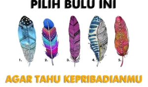 Tes Kepribadian dengan Melihat Gambar Bulu yang Ada di Sini Tes Kepribadian dengan Melihat Gambar Bulu yang Ada di Sini