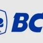 DAFTAR Promo HUT BCA 2025, Diskon Gede dan Cicilan 0%