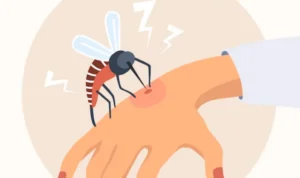 9 Makanan Penambah Trombosit, Cara Alami untuk Meningkatkan Kesehatan di Tengah Wabah DBD