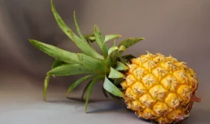 Fakta Bahaya Mengkonsumsi Buah Nanas Berlebihan
