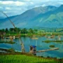 Wisata Alam untuk Refreshing Paling Enak di Tasikmalaya