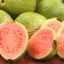 manfaat buah jambu