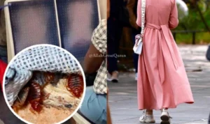 Melarang Abaya, Prancis Terkena Wabah Kutu Busuk, Kini Abaya dianjurkan!