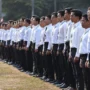 Pendaftaran CPNS 2023 Segera Ditutup! Berikut Instansi yang Sepi Peminat