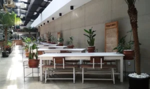 Rekomendasi Cafe di Bandung yang Memilki Menu Terbaik