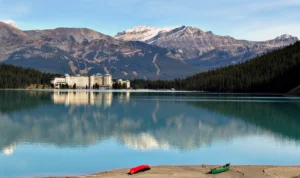 Pasutri di Kanada Tewas karena Serangan Beruang Grizzly Pasutri di Kanada Tewas karena Serangan Beruang Grizzly