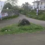 Batu Hitam Misterius di Tengah Jalan Stadion Sukabumi: Gerbang Ghaib hingga Ular Tanpa Kepala!