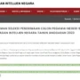 Cara Cek CPNS BIN 2023 di Web Resminya/ Tangkap Layar Web BIN