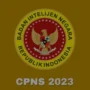 Syarat Tinggi Badan CPNS BIN 2023, Cek Info Bagi Pria dan Wanita Dibawah Ini