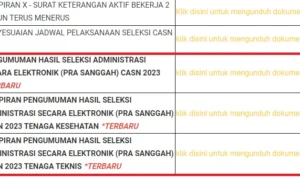 Cek Hasil Administrasi PPPK 2023 di Pemprov Jabar/ Tangkap Layar Web BKD Jabar