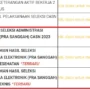 Cek Hasil Administrasi PPPK 2023 di Pemprov Jabar/ Tangkap Layar Web BKD Jabar