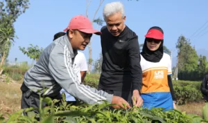 Ganjar Didampingi Sang Istri, Datangi Langsung para Petani di Cianjur Ganjar Pranowo didampingi sang istri tercintanya Siti Atikoh saat mendatangi langsung para petani di Kabupaten Cianjur, Kamis 5 Oktober 2023 pagi ini.