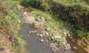 DlH Tutup Mata Pencemaran Sungai Ciesek, PMBS Minta Pelaku Pembuang Limbah Disanksi