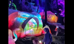 Sensasi Wisata Malam di Hutan Mycelia. (instagram Officialgrafika)