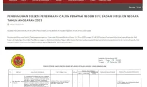 Link untuk Cek Hasil Seleksi CPNS BIN