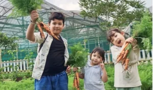 Dijamin Gak Bikin Bosen, ini 5 Rekomendasi Wisata Edukasi Seru di Bandung Jendela Alam menjadi salah satu wisata edukasi di Bandung yang banyak direkomendasikan. (instagram @jendelaalambandung)