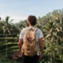 ILUSTRASI: Tips Wisata ramah lingkungan atau eco travel yang nyaman. (freepik)