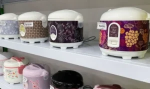 ILUSTRASI: bantuan Rice Cooker Gratis dari Pemerintah. (disway.id)