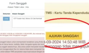 Masa Sanggah CPNS dan PPPK 2023/ Kolase Buku Petunjuk Pendaftaran CPNS 2023