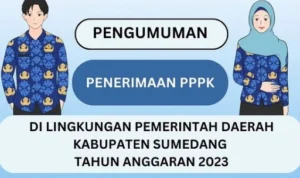Cek Link Pengumuman Hasil Seleksi Administrasi PPPK di Kabupaten Sumedang 2023/ Instagram @bkpsdmsumedang