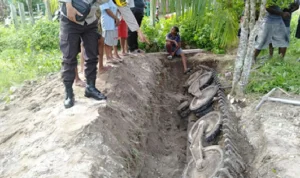VIRAL! Warga Sarmi Papua Temukan Tank Bekas Perang Dunia II Warga Sarmi Papua temukan tank bekas Perang Dunia II saat menggali selokan pada Senin 9 Oktober 2023.
