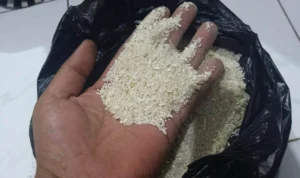 Kualitas beras bulog yang diterima KPM ini tak layak konsumsi, akhirnya dijual ke warung dan ditukarkan dengan beras layak konsumsi.