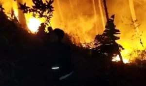 Sebagian Lahan Gunung Manglayang Terbakar, Warga Berjibaku Padamkan Api Warga Gotong Royong Padamkan Api yang Membakar Sebagian Lahan Gunung Manglayang. Foto Istimewa