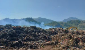 Penampakan sampah yang telah dibersihkan di Pantai Loji, Sukabumi.