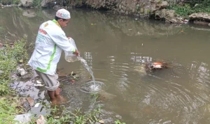 Penebaran benih ikan di Sungai Ciesek.