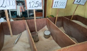 Akibat Kemarau Panjang, Harga Beras di Depok Terus Melambung Tinggi