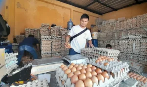 Inflasi Harga Bapokting di Kabupaten Sumedang Dipastikan Terkendali