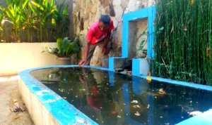 Menengok Seke Bakan Teureup, Air Melimpah yang Belum Teroptimalkan di Tengah Kemarau Menengok Seke Bakan Teureup, Air Melimpah yang Belum Teroptimalkan di Tengah Kemarau