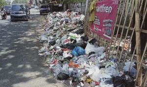 Warga Keluhkan Banyak TPS Liar Akibat Keterlambatan Pengangkutan, DLH Kabupaten Bandung Klaim Berhasil Atasi 70 Persen Pengelolaan Sampah. Foto Istimewa
