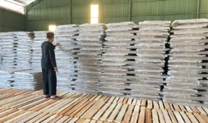 Ribuan bilik suara di gudang logistik KPU Kabupaten Cirebon di Kecamatan Plumbon, Kabupaten Cirebon.