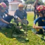 Monyet Liar Serang Anak di Depok, Camat Cikapayung: Orang Tua Harus Tetap Waspada