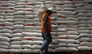 Dampak El Nino, DKPP Kota Bandung Pastikan Stok Beras Aman Dampak El Nino, DKPP Kota Bandung Pastikan Stok Beras Aman